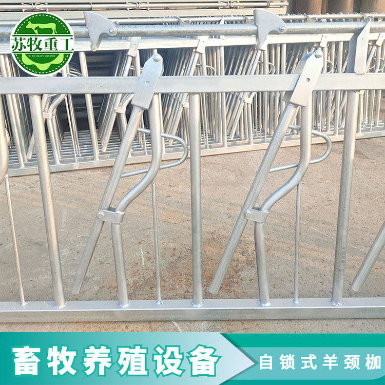 苏牧主图2.jpg